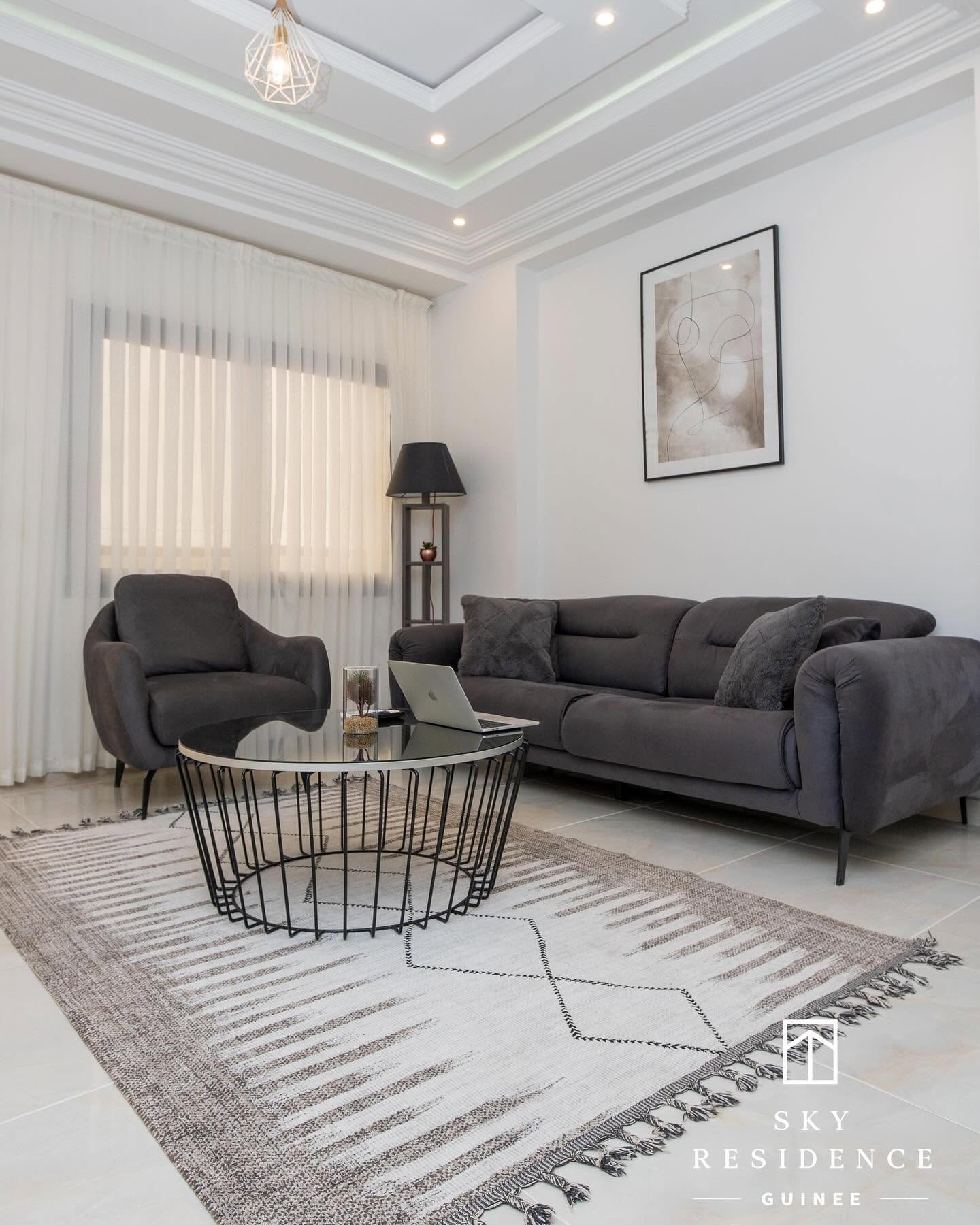 Séjour aux tons gris avec tapis tissé